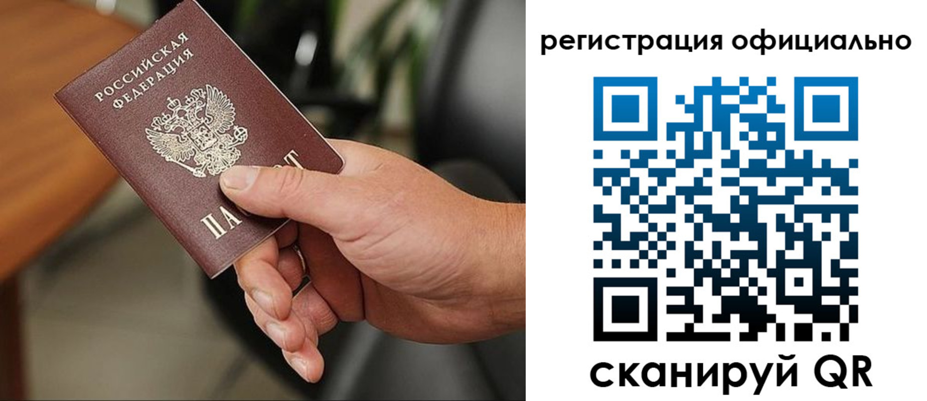 прописка гарантия в Палласовке