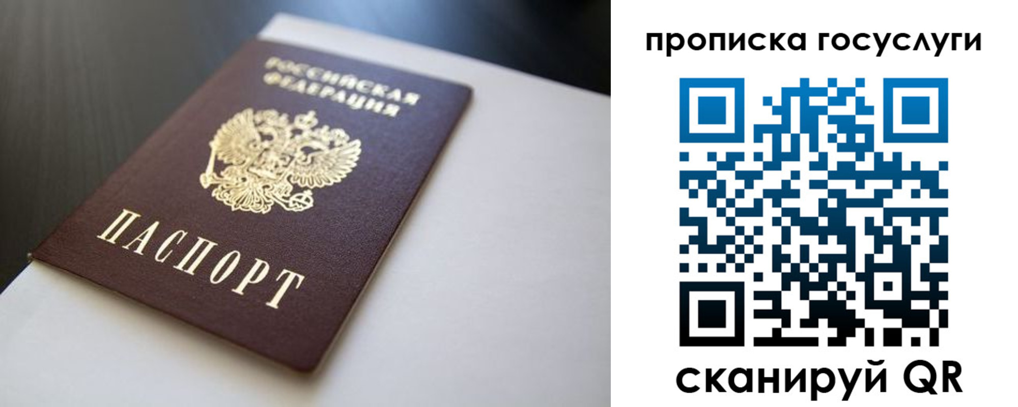 временная регистрация госуслуги в Палласовке